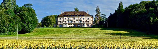 上門龍婿葉辰蕭初然_第3185章 全力以赴