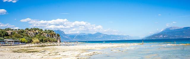 上門龍婿葉辰蕭初然_第145章 董若琳表白！