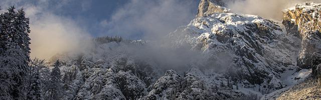 上門龍婿葉辰蕭初然_第96章 蕭初然想換房子