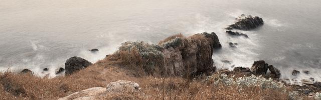 都市神醫葉辰很囂張_第14章 天價！庸醫？（求推薦票）