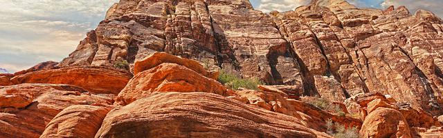 上門龍婿葉辰蕭初然_第167章 高位截癱？