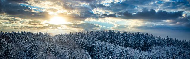 都市神醫葉辰很囂張_第 12024 章 不夠