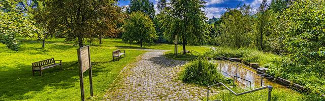 都市神醫葉辰很囂張_第24章 往事！