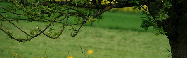 都市神醫葉辰很囂張_第12276章 古老（三章合一）