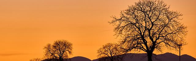 上門龍婿葉辰蕭初然_第390章 徐徐圖之