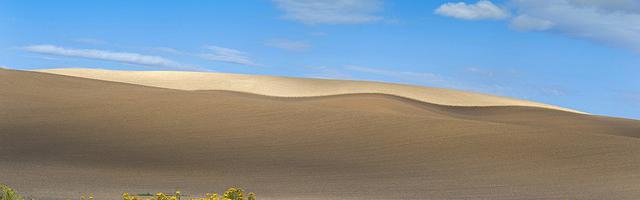 上門龍婿葉辰蕭初然_第100章 別墅送給葉辰了？