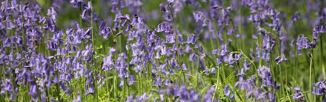 現代異聞事件薄繁體免費章節，邀您共賞