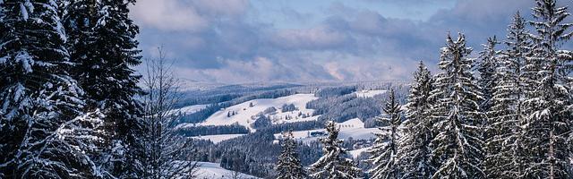 都市神醫葉辰很囂張_第 11985 章 暴露