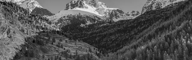 重生豐緣：開局我選火稚雞繁體免費章節免費享，期待您的品鑒