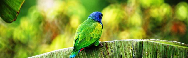 CSGO之我真的只想空槍繁體免費章節免費享，期待您的品鑒