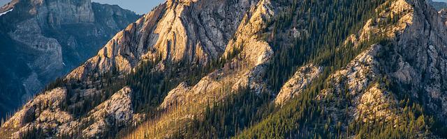 都市神醫葉辰很囂張_第219章 誰是獵物！（六更！）