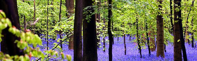 龍傲劍神繁體免費章節，邀您共賞