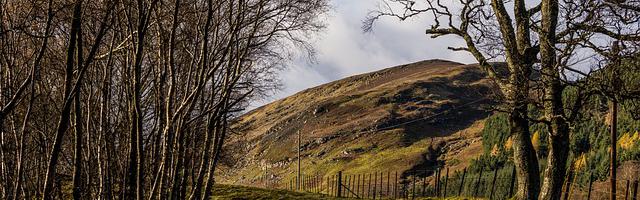 我要與超人約架繁體免費章節免費享，期待您的品鑒