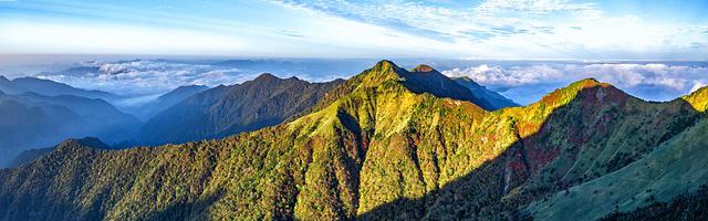 上門龍婿葉辰蕭初然_第133章 果然神醫！