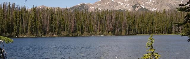 至尊龍帝繁體免費章節，邀您共賞