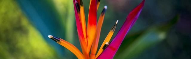 都市神醫葉辰很囂張_第 11962 章 輪回墓地的渴望