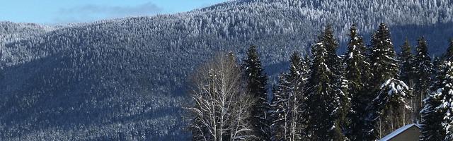 都市神醫葉辰很囂張_第12260章 神兵（三章合一）