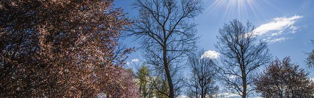 神祗：開局魚貓獸人繁體免費章節，邀您共賞