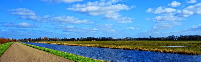 上門龍婿葉辰蕭初然_第125章 闖下大禍！