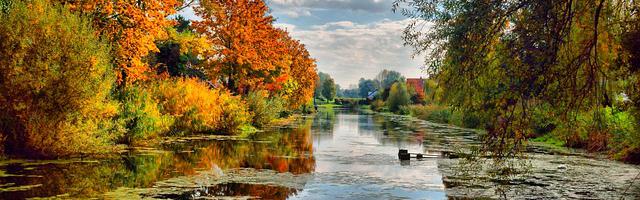 上門龍婿葉辰蕭初然_第92章 一心求死