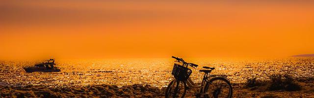 上門龍婿葉辰蕭初然_第3240章 瞞天過海