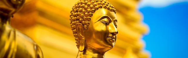 斗羅之黃猿斗羅繁體免費章節免費享，期待您的品鑒