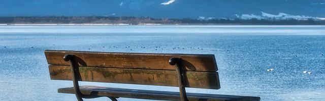 進化的四十六億重奏繁體免費章節，邀您共賞