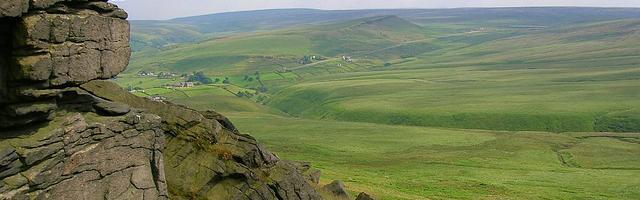 都市神醫葉辰很囂張_第12124章 分身