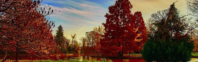 都市神醫葉辰很囂張_第12278章 感悟突破（三章合一）