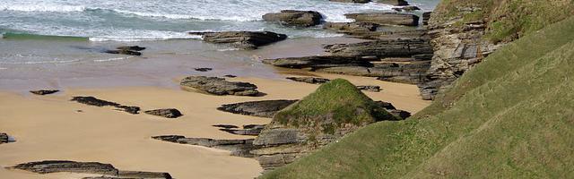 都市神醫葉辰很囂張_第12188章 我的法子