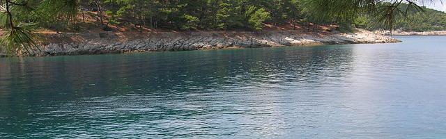 都市神醫葉辰很囂張_第155章 擔心！（求推薦票！）