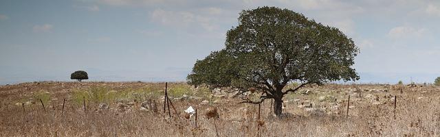 領主咆哮繁體免費章節免費享，期待您的品鑒