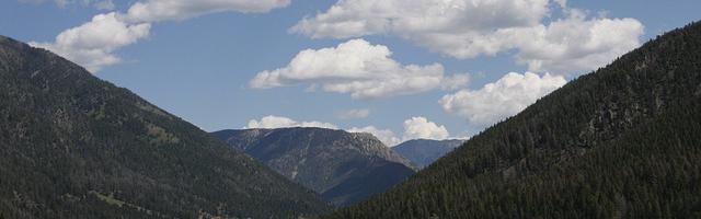 上門龍婿葉辰蕭初然_第3336章 你罩不罩得住？