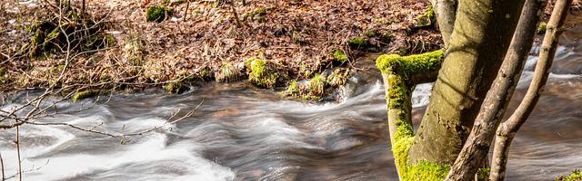 上門龍婿葉辰蕭初然_第406章 母子離心