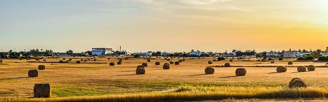 都市神醫葉辰很囂張_第5章 唉，一定要我出手嗎？