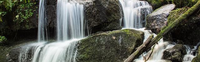 上門龍婿葉辰蕭初然_第65章 葉大師出手