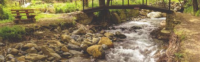霍格沃茨的考古學家繁體免費章節免費享，期待您的品鑒