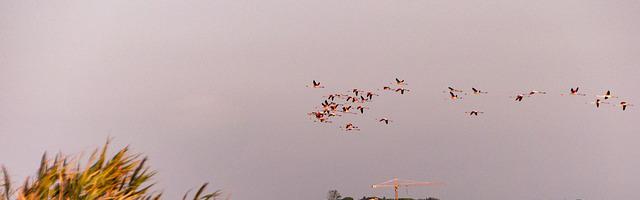 快穿之逆天炮灰繁體免費章節，邀您共賞