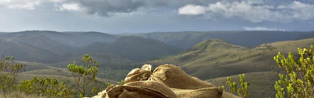 都市神醫葉辰很囂張_第 12060 章 詛咒
