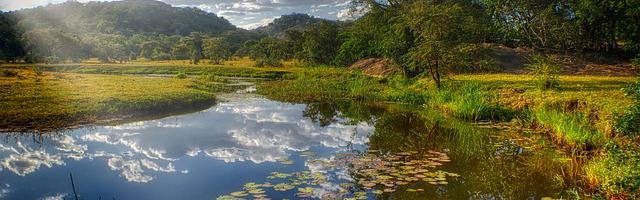 上門龍婿葉辰蕭初然_第3029章 神跡降臨