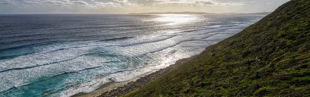 白骨大圣繁體免費章節，邀您共賞
