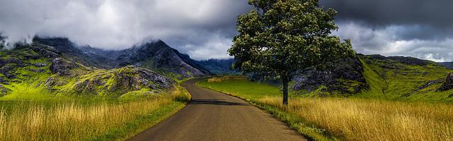 都市神醫葉辰很囂張_第126章 身份！（求推薦票！）