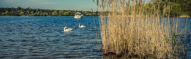 上門龍婿葉辰蕭初然_第55章 付出慘痛代價