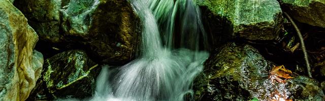 都市神醫葉辰很囂張_第116章 這是什么怪物！（加更，求推薦票！）