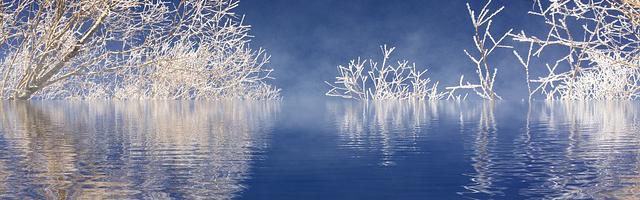 遺忘國度之德魯伊繁體免費章節免費享，期待您的品鑒