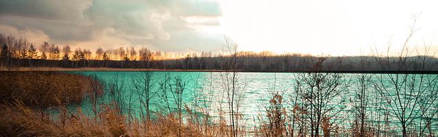 上門龍婿葉辰蕭初然_第56章 宋婉婷相邀