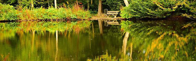 都市神醫葉辰很囂張_第12229章 很痛（三章合一）