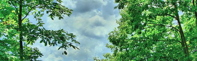 都市神醫葉辰很囂張_第12258章 九蒼（三章合一）